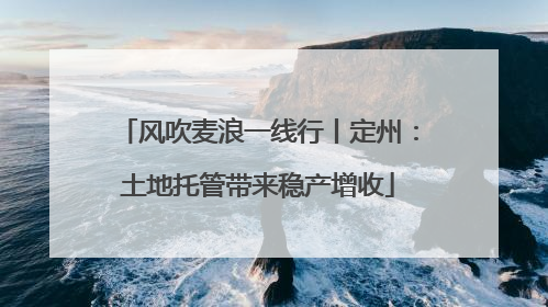 风吹麦浪一线行丨定州：土地托管带来稳产增收