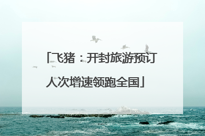 飞猪：开封旅游预订人次增速领跑全国