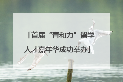 首届“青和力”留学人才嘉年华成功举办