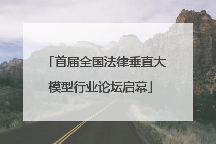 首届全国法律垂直大模型行业论坛启幕
