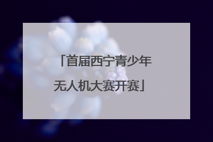 首届西宁青少年无人机大赛开赛