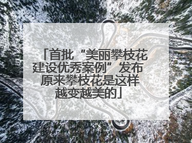 首批“美丽攀枝花建设优秀案例”发布 原来攀枝花是这样越变越美的