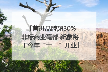首进品牌超30% 非标商业亳都·新象将于今年“十一”开业