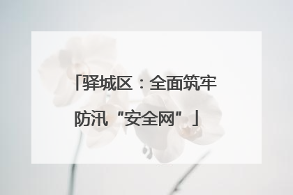 驿城区：全面筑牢防汛“安全网”