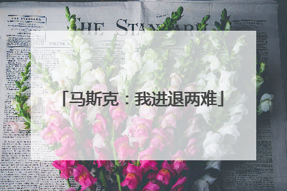 马斯克：我进退两难