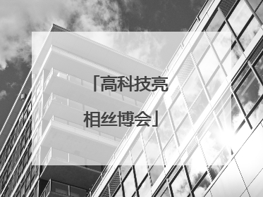 高科技亮相丝博会