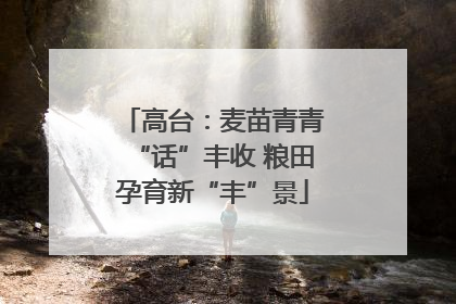 高台：麦苗青青“话”丰收 粮田孕育新“丰”景