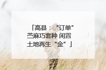 高县：“订单”苎麻巧套种 闲置土地再生“金”