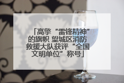 高擎“雷锋精神”的旗帜 望城区消防救援大队获评“全国文明单位”称号