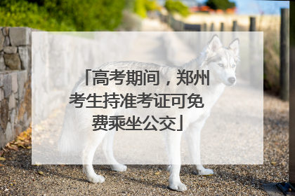 高考期间，郑州考生持准考证可免费乘坐公交