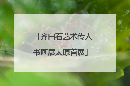 齐白石艺术传人书画展太原首展
