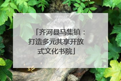 齐河县马集镇：打造多元共享开放式文化书院