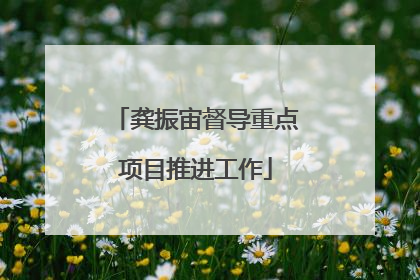龚振宙督导重点项目推进工作
