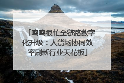 鸣鸣很忙全链路数字化升级：人货场协同效率刷新行业天花板