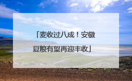 麦收过八成！安徽夏粮有望再迎丰收