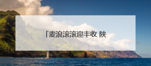 麦浪滚滚迎丰收 陕西麦收进度过七成