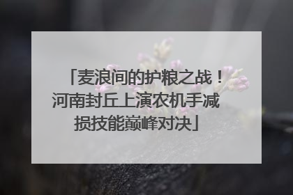 麦浪间的护粮之战！河南封丘上演农机手减损技能巅峰对决