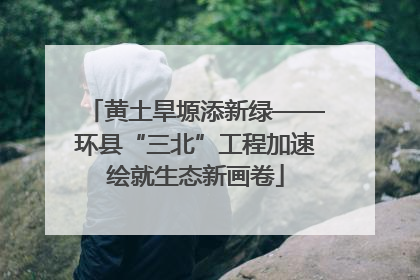 黄土旱塬添新绿——环县“三北”工程加速绘就生态新画卷
