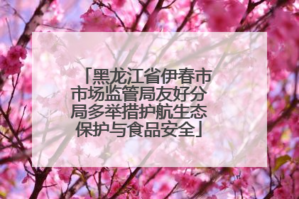 黑龙江省伊春市市场监管局友好分局多举措护航生态保护与食品安全