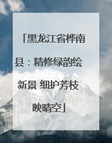 黑龙江省桦南县：精修绿韵绘新景 细护芳枝映晴空