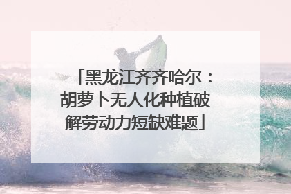 黑龙江齐齐哈尔：胡萝卜无人化种植破解劳动力短缺难题