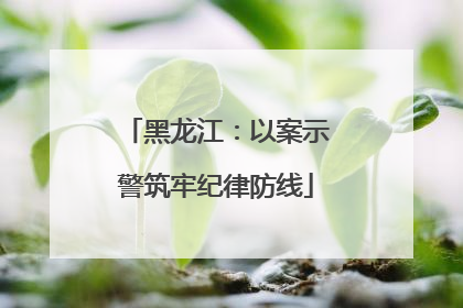 黑龙江：以案示警筑牢纪律防线