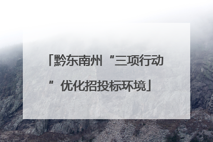 黔东南州“三项行动”优化招投标环境