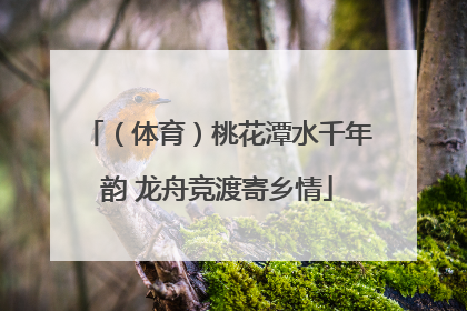 （体育）桃花潭水千年韵 龙舟竞渡寄乡情