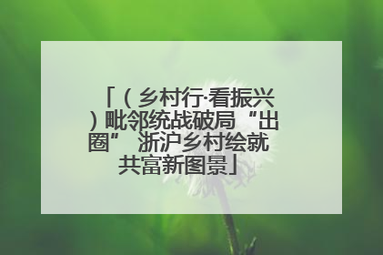 （乡村行·看振兴）毗邻统战破局“出圈” 浙沪乡村绘就共富新图景