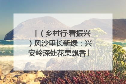 （乡村行·看振兴）风沙里长新绿：兴安岭深处花果飘香