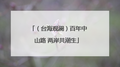 （台海观澜）百年中山路 两岸共潮生