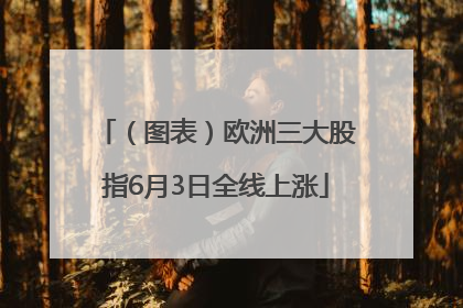 （图表）欧洲三大股指6月3日全线上涨