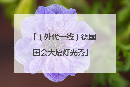 （外代一线）德国国会大厦灯光秀