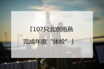 107只北京雨燕完成年度“体检”