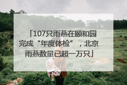 107只雨燕在颐和园完成“年度体检”，北京雨燕数量已超一万只