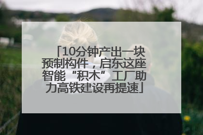 10分钟产出一块预制构件，启东这座智能“积木”工厂助力高铁建设再提速
