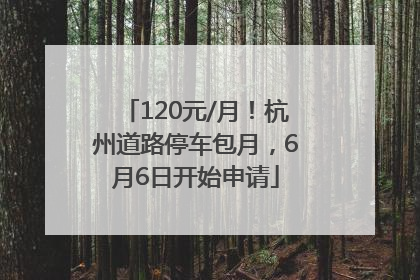 120元/月！杭州道路停车包月，6月6日开始申请