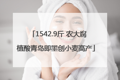1542.9斤 农大腐植酸青岛即墨创小麦高产