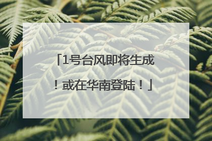 1号台风即将生成！或在华南登陆！