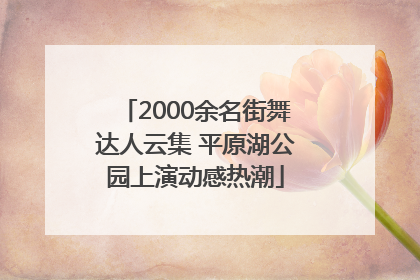 2000余名街舞达人云集 平原湖公园上演动感热潮