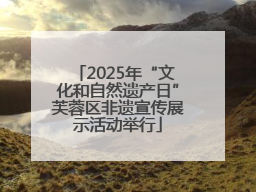 2025年“文化和自然遗产日”芙蓉区非遗宣传展示活动举行