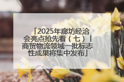 2025年廊坊经洽会亮点抢先看（七）丨商贸物流领域一批标志性成果将集中发布
