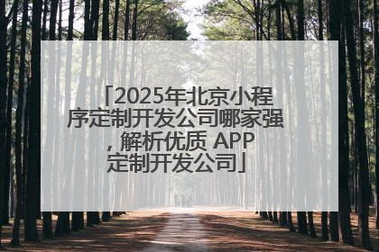 2025年北京小程序定制开发公司哪家强，解析优质 APP 定制开发公司