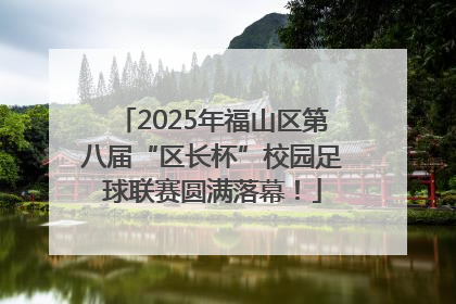2025年福山区第八届“区长杯”校园足球联赛圆满落幕！