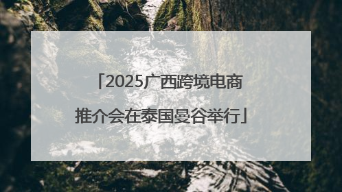 2025广西跨境电商推介会在泰国曼谷举行