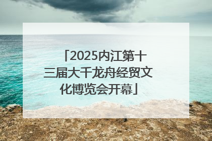 2025内江第十三届大千龙舟经贸文化博览会开幕