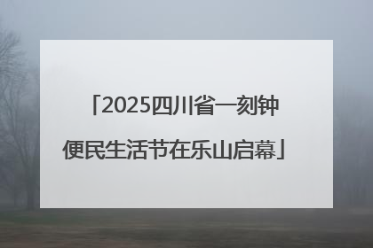2025四川省一刻钟便民生活节在乐山启幕