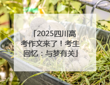 2025四川高考作文来了！考生回忆：与梦有关