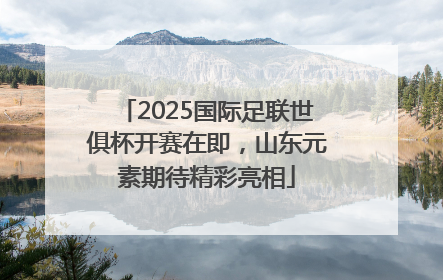 2025国际足联世俱杯开赛在即，山东元素期待精彩亮相