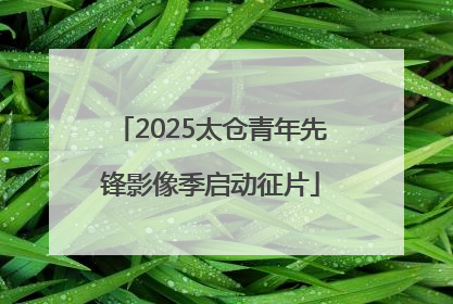 2025太仓青年先锋影像季启动征片